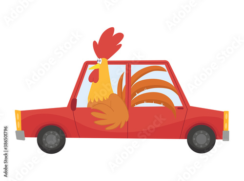 Colored kids transport with cute little cock or poster. Animal driving car. Cartoon animal driver, pets vehicle and happy in funny car. Transportation animal character travel in car