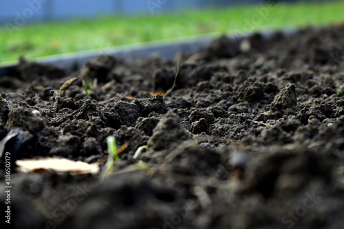 cultivated soil in the garden