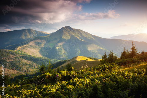 Tranquil sunny day in alpine valley. Location place of Carpathian mountains, Ukraine.
