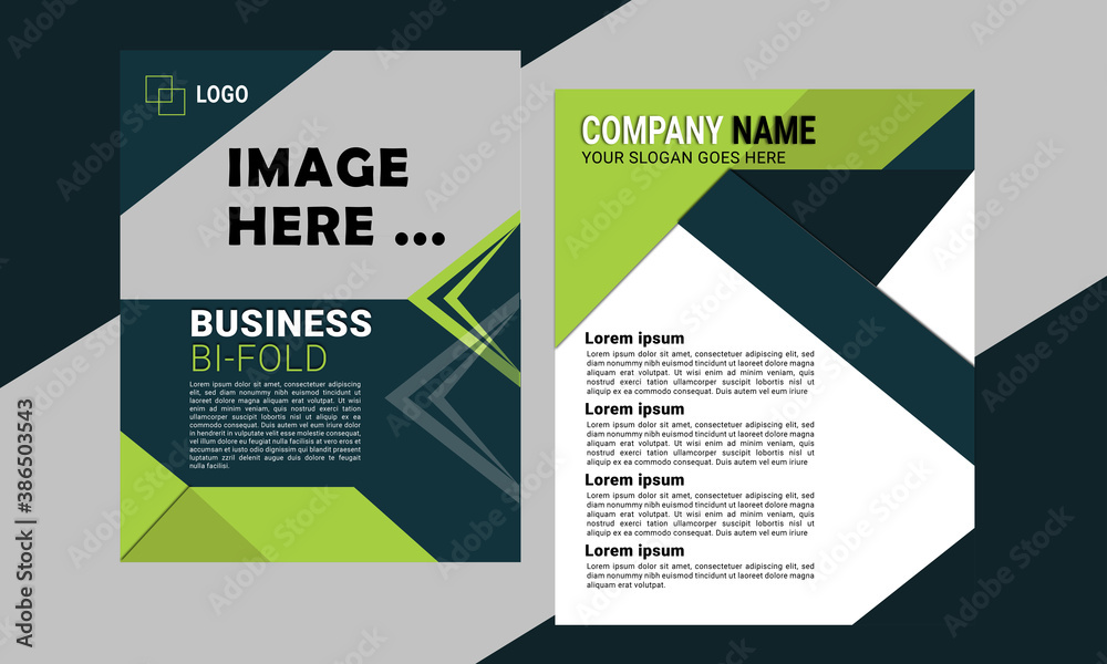 Professional Bi-fold Brochure Professional Bi-fold Brochure