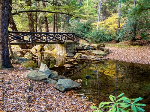 A bridge crossing the creek at Clear Creek State Park near Clarion, Pennsylvania in the fall with tree leaves all over the ground and autumn foliage surrounding the scene. photo