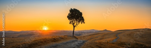 Beautiful panorama with the silhouette of a pine tree on the top of Tuscany hill in the morning at sunrise