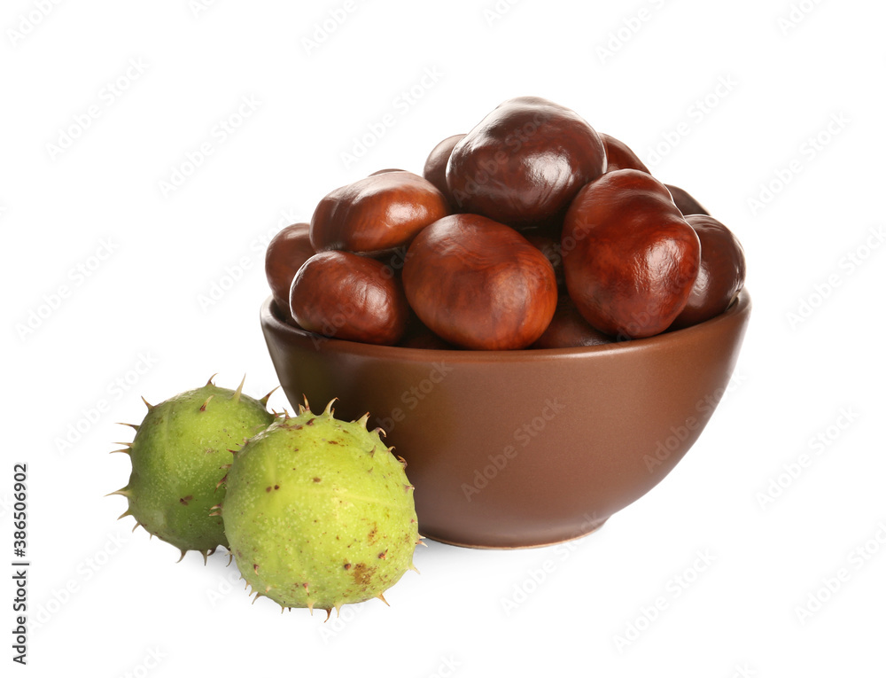 Horse chestnuts in bowl on white background Horse chestnuts in bowl on white background