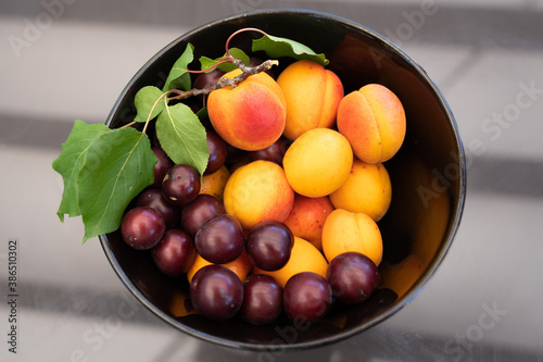 Obraz na płótnie Fruit bowl with nectarines and cherries w salonie
