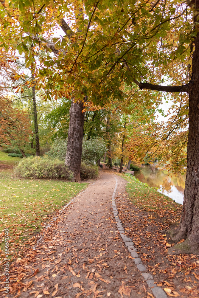 Fototapeta premium Entlang der Oker führt dieser wundervolle Weg durch den Park.