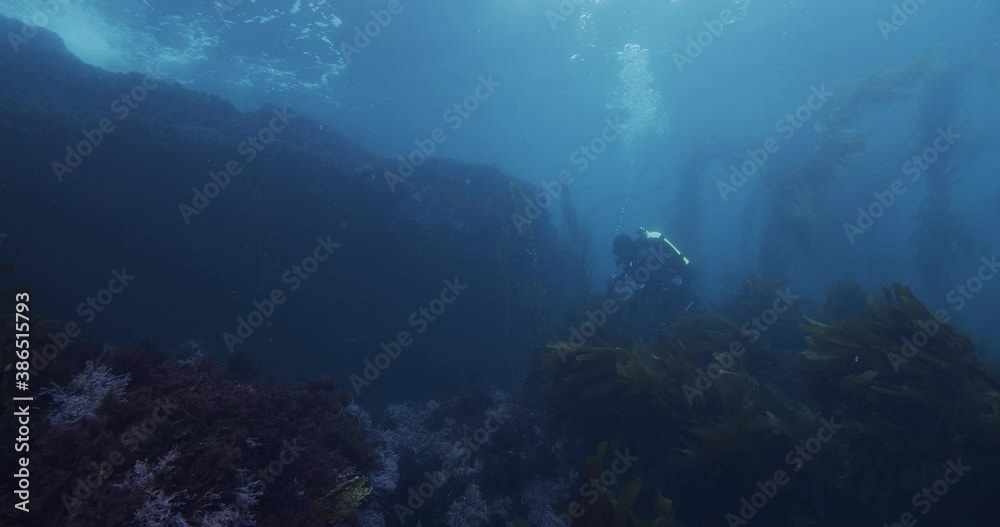 Scuba diver at cliff face of island. Scuba diver at cliff face of island.