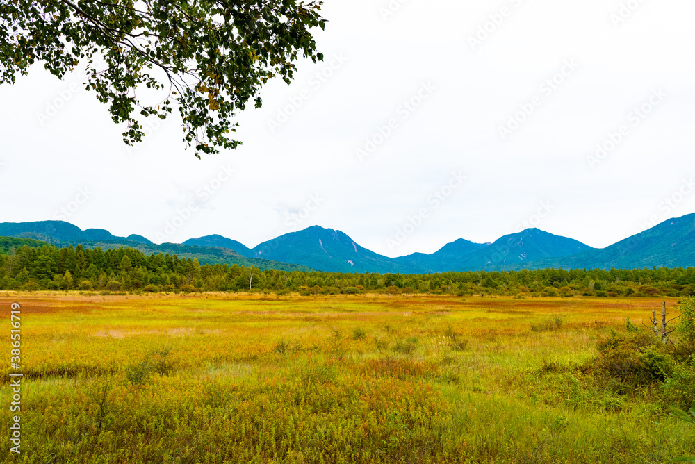 Fototapeta premium 奥日光 小田代ヶ原と貴婦人