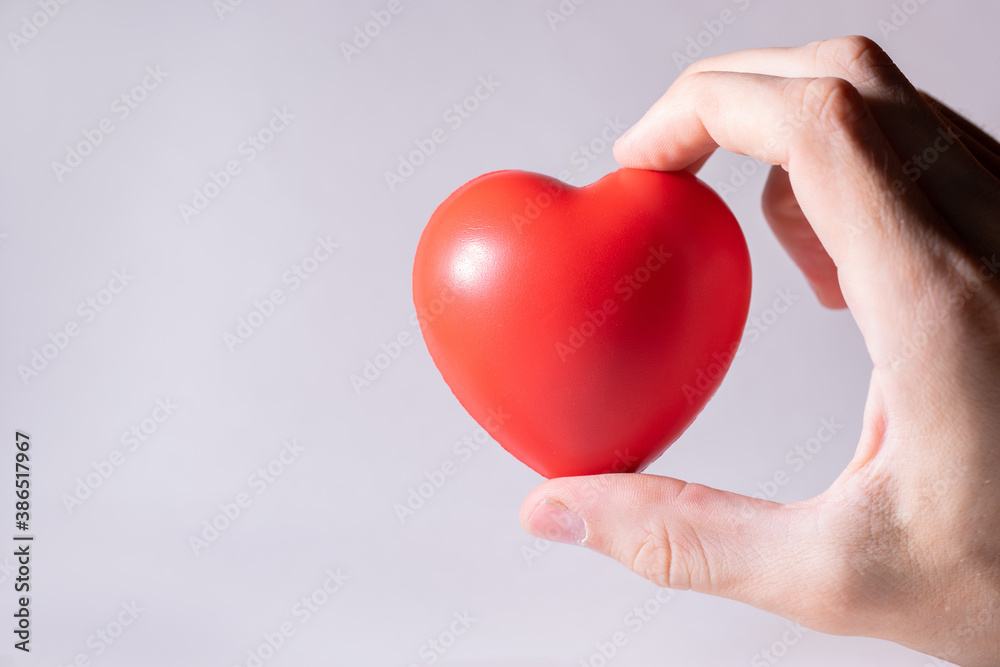 close up. small heart in a human hand . close up. small heart in a human hand .