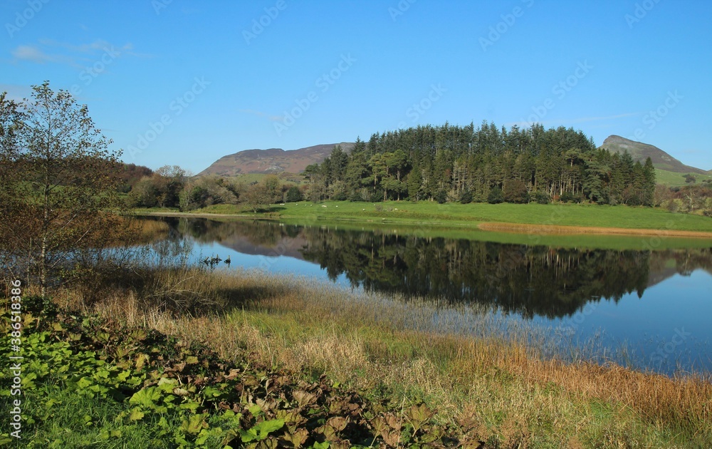 Landscape of rural County Leitrim, Ireland on Autumn afternoon featuring still waters of Doon Lough with sheep grazing on pastures against backdrop of forest 