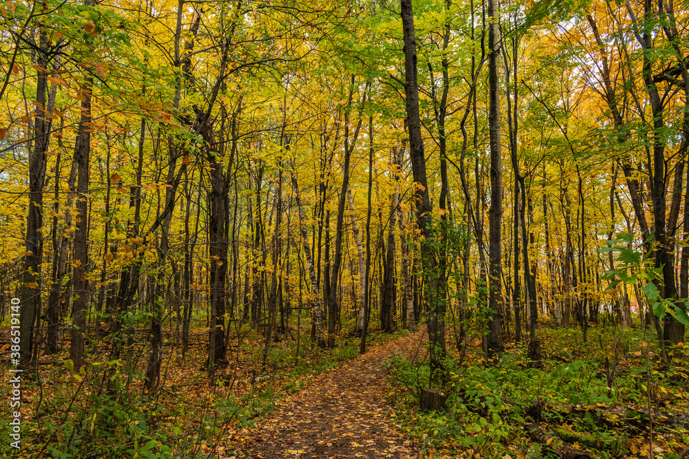 Cloudly day of autumn in Quebec city Cloudly day of autumn in Quebec city