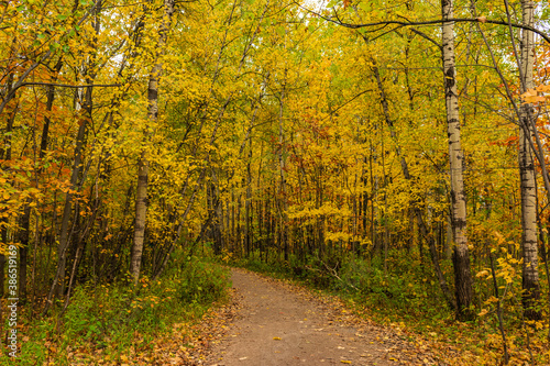 Cloudly day of autumn in Quebec city