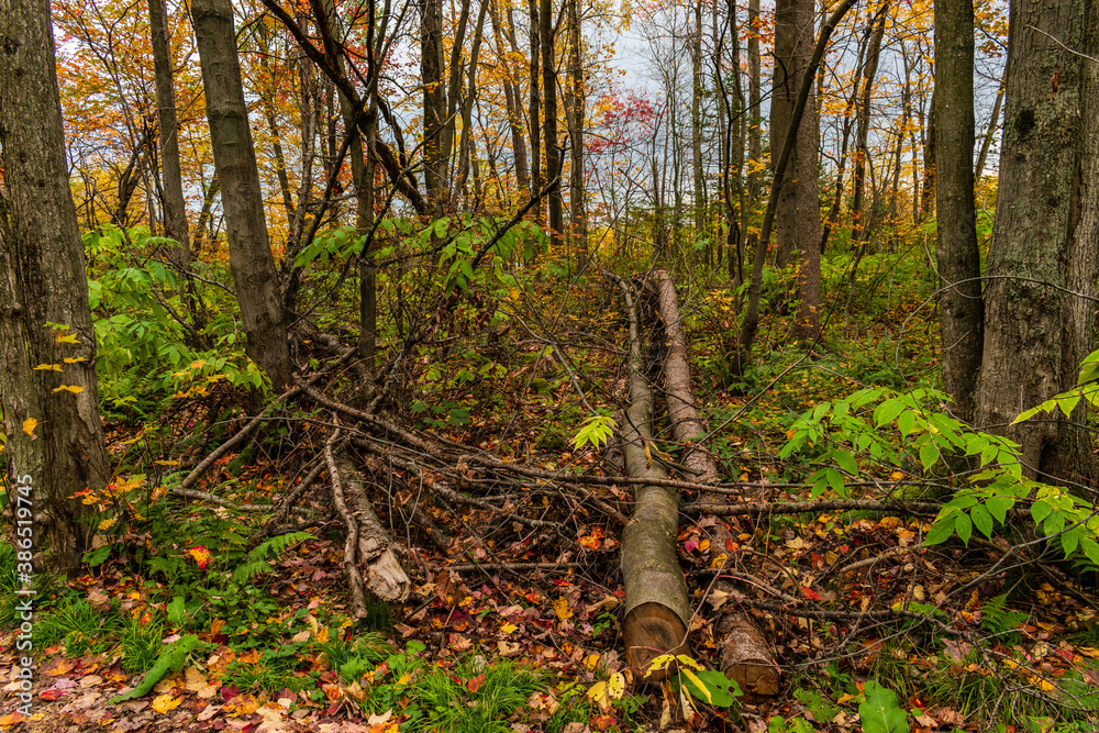 Cloudly day of autumn in Quebec city Cloudly day of autumn in Quebec city