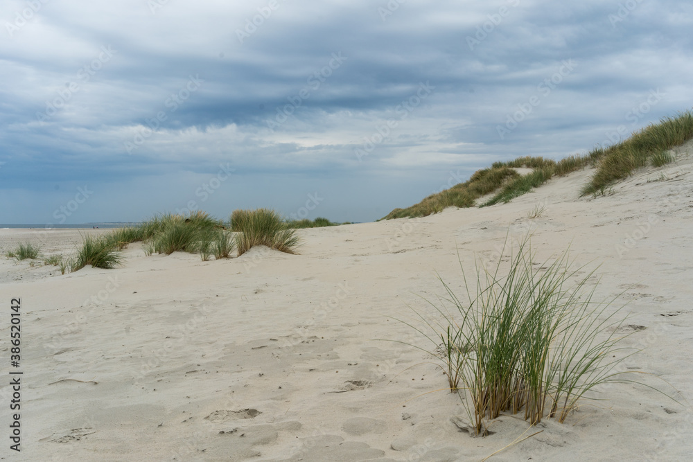 Fototapeta premium Dunes at sunset, Baltrum, Germany, North Sea