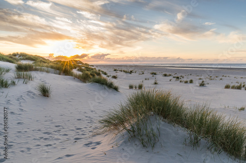 Dunes at sunset, Baltrum, Germany, North Sea photo