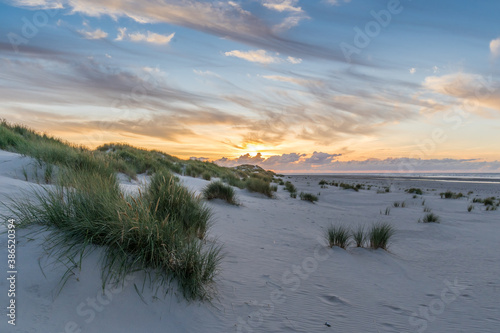 Dunes at sunset  Baltrum  Germany  North Sea