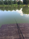 fishing at the lake