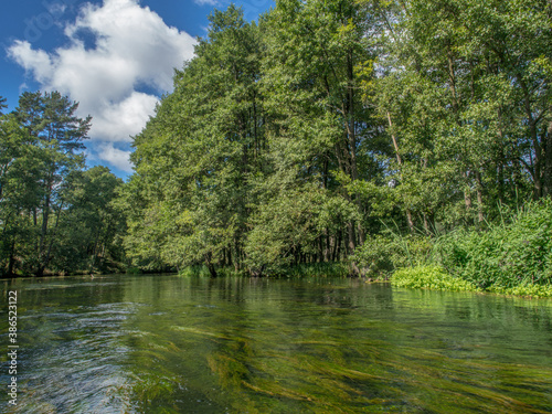 Trees and clouds reflecting in a water