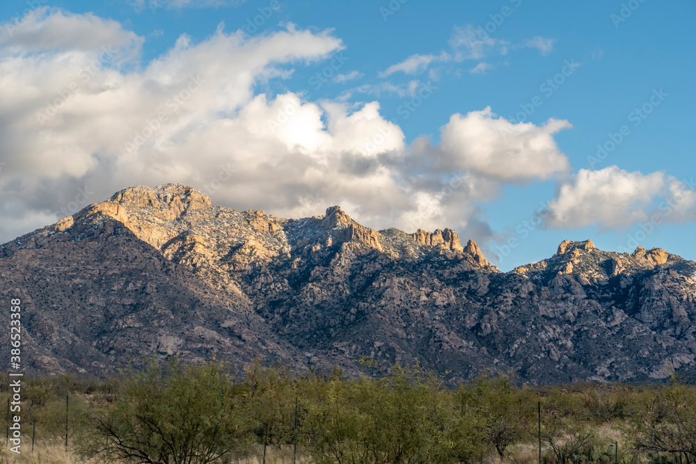 Arizona’s Sonoran Desert  at Organ Pipe Cactus National Monument