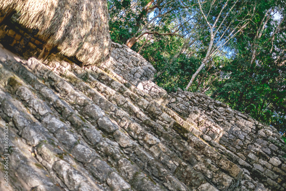 Details of the nature between the stone ruins at the top of the Nohoch Mul Mayan Pyramid, at Coba, Mexico