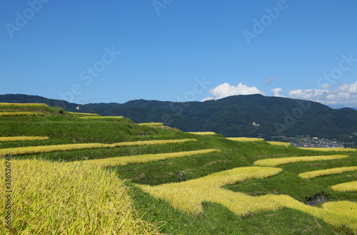 信州 姨捨の棚田 