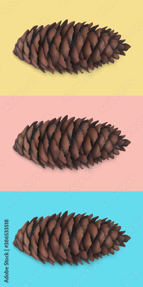 Spruce cone, fir cone. Dry coniferous cone. Isolated realistic 3d object presented on yellow, red and blue background. Seasonal traditional holiday design element Spruce cone, fir cone. Dry coniferous cone. Isolated realistic 3d object presented on yellow, red and blue background. Seasonal traditional holiday design element