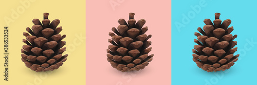 Pine cone. Dry coniferous cone. Isolated realistic 3d object presented on yellow, red and blue background. Seasonal traditional holiday design element. Pinecone icon, symbol, decor