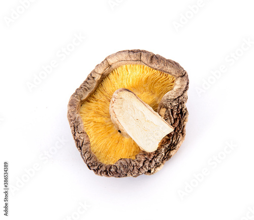 One dried mushroom on white background