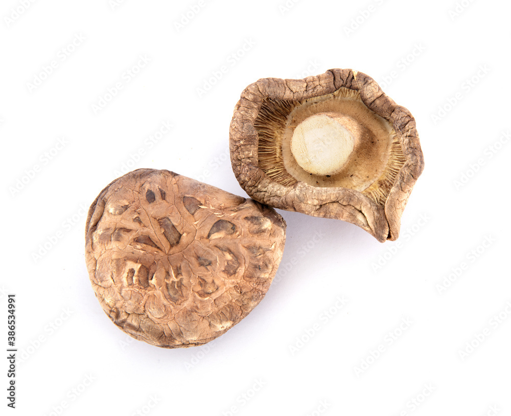 Two dried mushrooms on white background Two dried mushrooms on white background