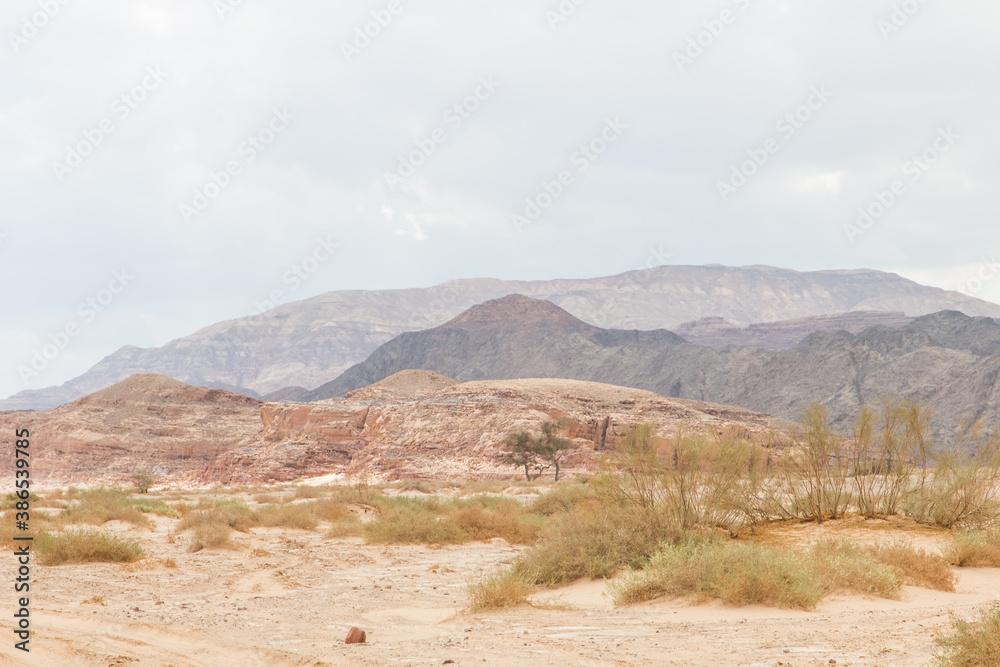 Desert, red mountains, rocks and cloudy sky. Egypt, the Sinai Peninsula. Desert, red mountains, rocks and cloudy sky. Egypt, the Sinai Peninsula.