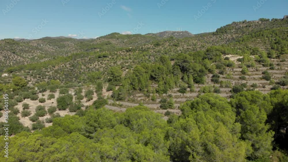 Aerial view on Spanish countryside olive farm Aerial view on Spanish countryside olive farm