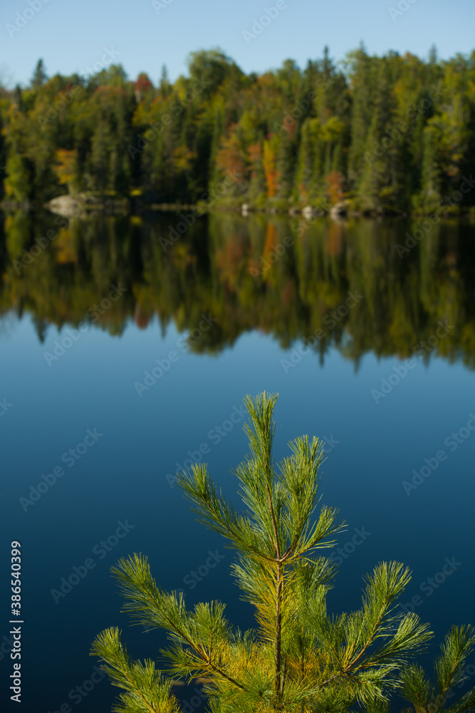 green pine tree with fall trees reflection in lakes still blue water