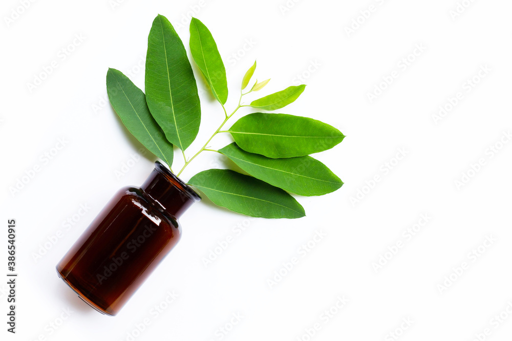 Eucalyptus leaves with medicine bottle on white. Eucalyptus leaves with medicine bottle on white.