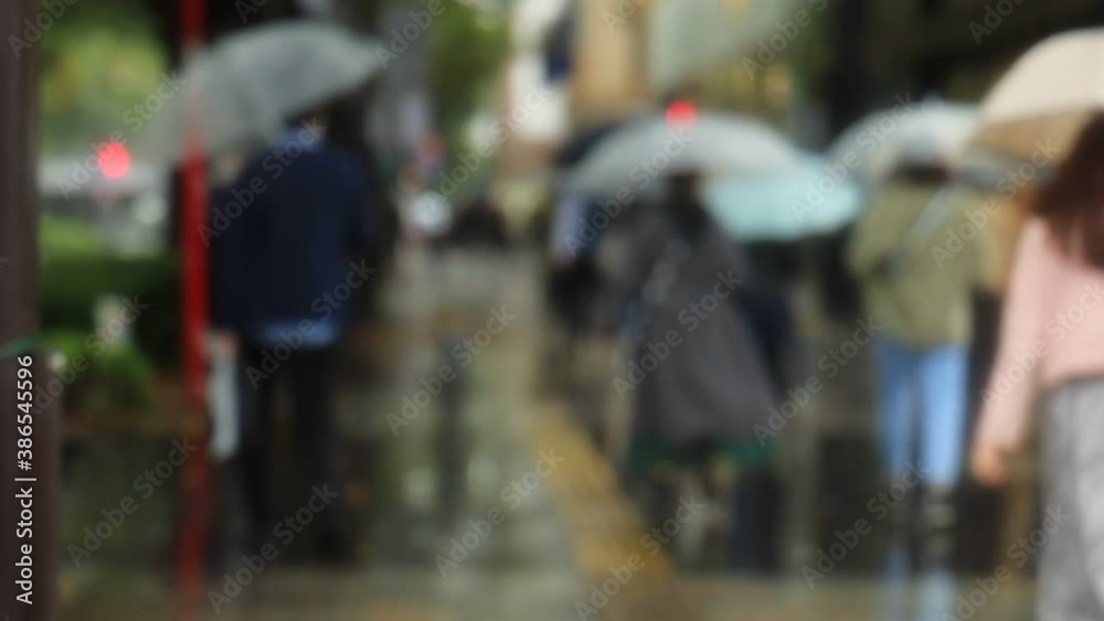 雨の日 東京 表参道 週末 傘をさして歩く人々 スローモーション撮影 アウトフォーカス 雨の日 東京 表参道 週末 傘をさして歩く人々 スローモーション撮影 アウトフォーカス