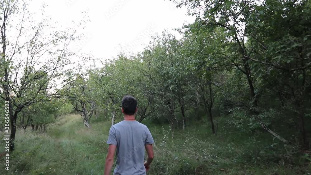 Close up shot from behind of a man walking in the summer forest. Young man on a path into the green forest Close up shot from behind of a man walking in the summer forest. Young man on a path into the green forest