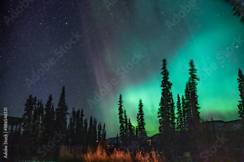 Fantastic display of northern lights with stunning green & purple bands, swirls and spears. Taken in Yukon Territory, northern Canada. 