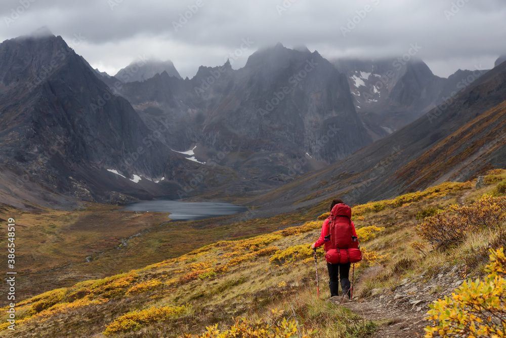 Woman Backpacking on Scenic Hiking Trail to Lake surrounded by Mountains during Fall in Canadian Nature. Taken in Tombstone Territorial Park, Yukon, Canada.