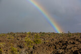 Ohio Lehua tree under the rainbow, Big Island, Hawaii