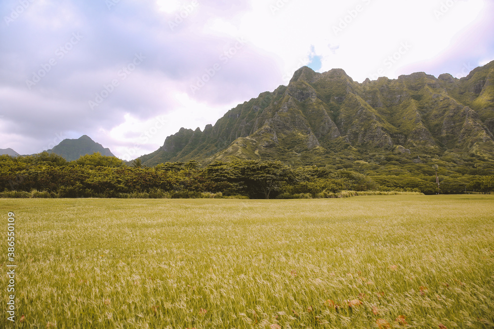 Mountain view, Kualoa Regional Park, Oahu, Hawaii
Mountain view, Kualoa Regional Park, Oahu, Hawaii