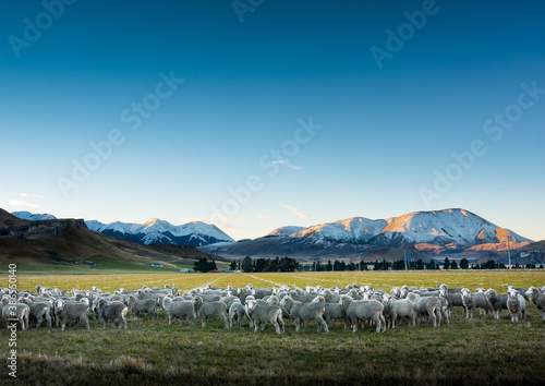Canvas Print Photo is taken at Castle Hill, New Zealand on a very cold winters day