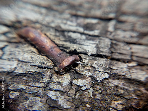 oxido y madera 