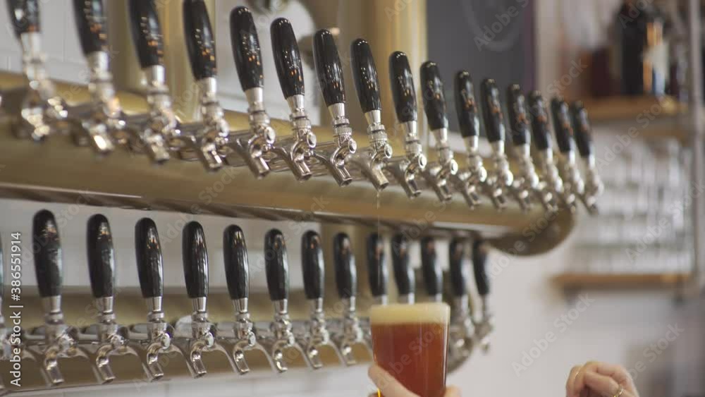 Bartender pours a glass of beer from a tap in 4k 24fps Bartender pours a glass of beer from a tap in 4k 24fps