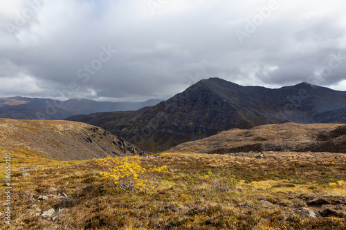 View of Scenic Landscape and Mountains during Fall in Canadian Nature. Aerial Shot. Taken in Tombstone Territorial Park  Yukon  Canada.