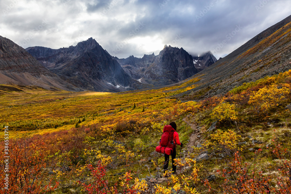 Woman Backpacking on Scenic Hiking Trail surrounded by Rugged Mountains during Fall in Canadian Nature. Taken in Tombstone Territorial Park, Yukon, Canada.