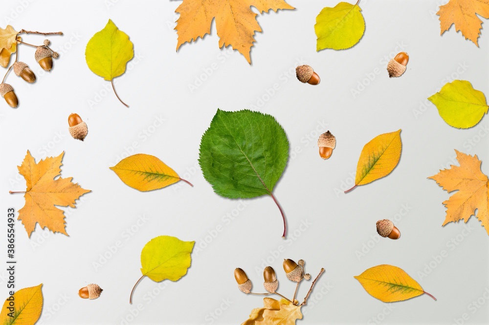 Obraz premium Above.