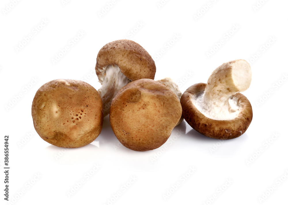 Shiitake mushroom isolated on white background Shiitake mushroom isolated on white background