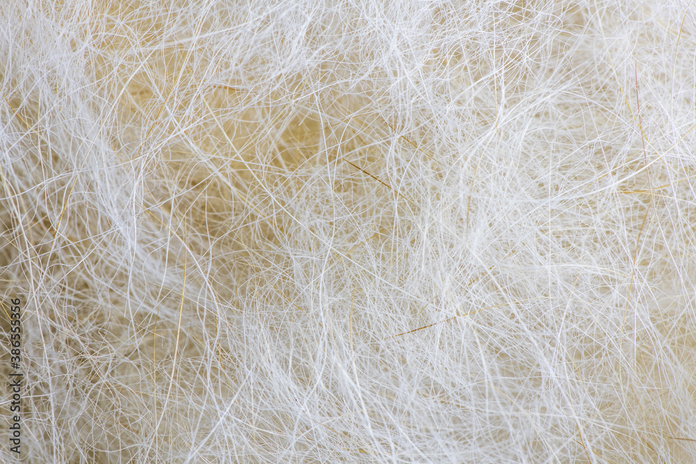 Obraz premium macro, close up. Bunch of dog's hair fur after brushing and grooming.