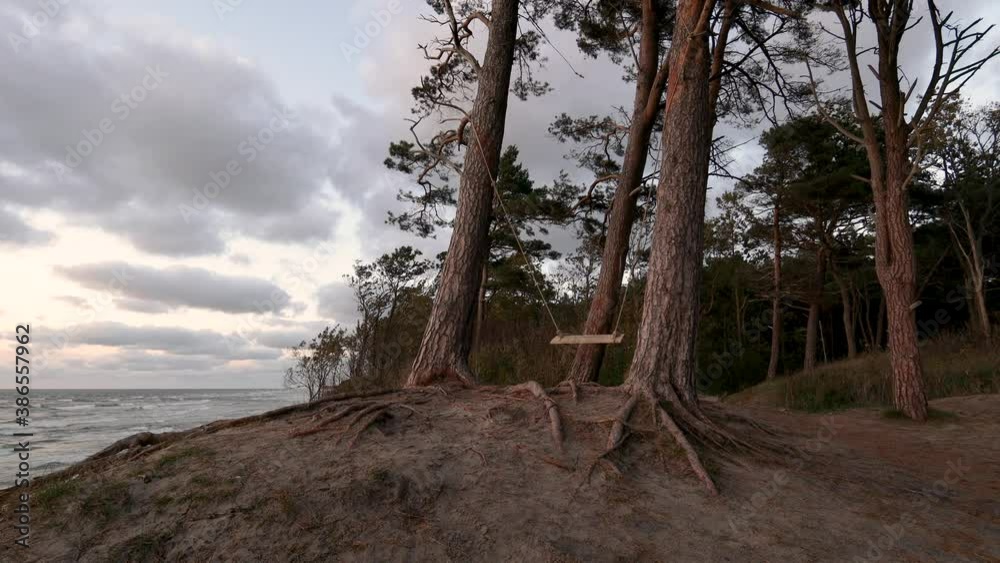 A wooden swing hanging between two pine trees growing on sandy hillside. Beautiful sunset on the Baltic sea at A wooden swing hanging between two pine trees growing on sandy hillside. Beautiful sunset on the Baltic sea at