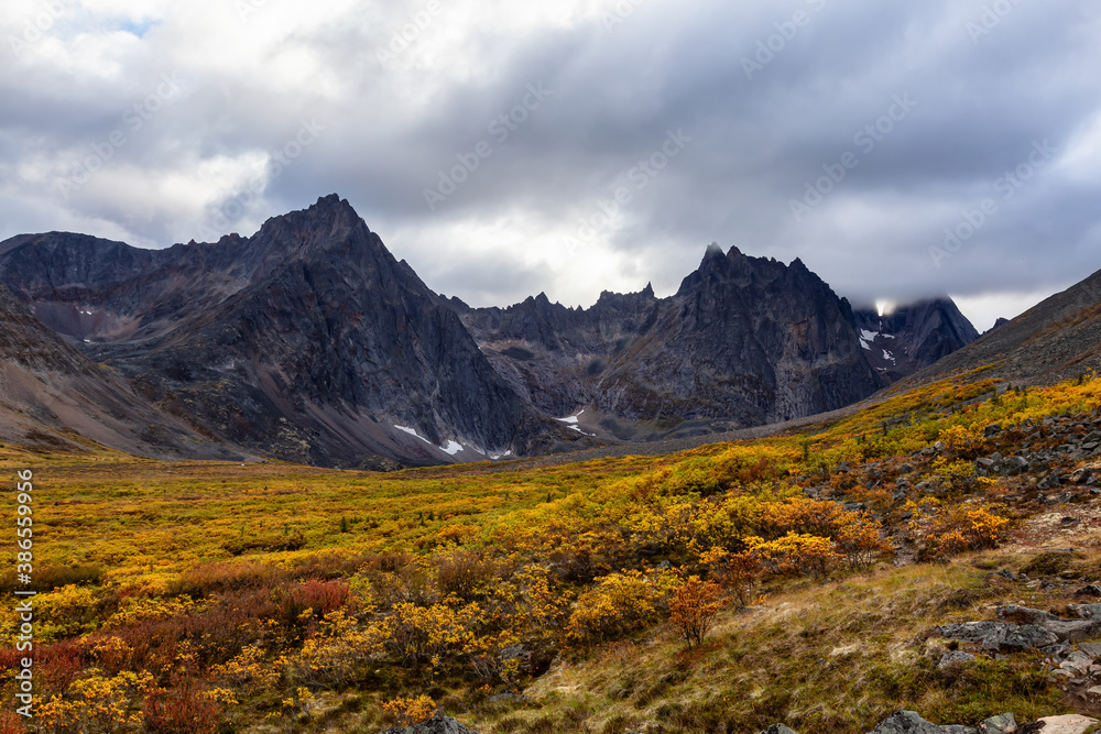 Beautiful View of Dramatic Mountains and Valley during Fall in Canadian Nature. Aerial Shot. Taken in Tombstone Territorial Park, Yukon, Canada.