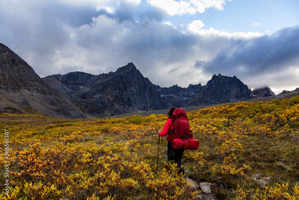 Girl Backpacking on Scenic Hiking Trail surrounded by Rugged Mountains during Fall in Canadian Nature. Taken in Tombstone Territorial Park, Yukon, Canada.