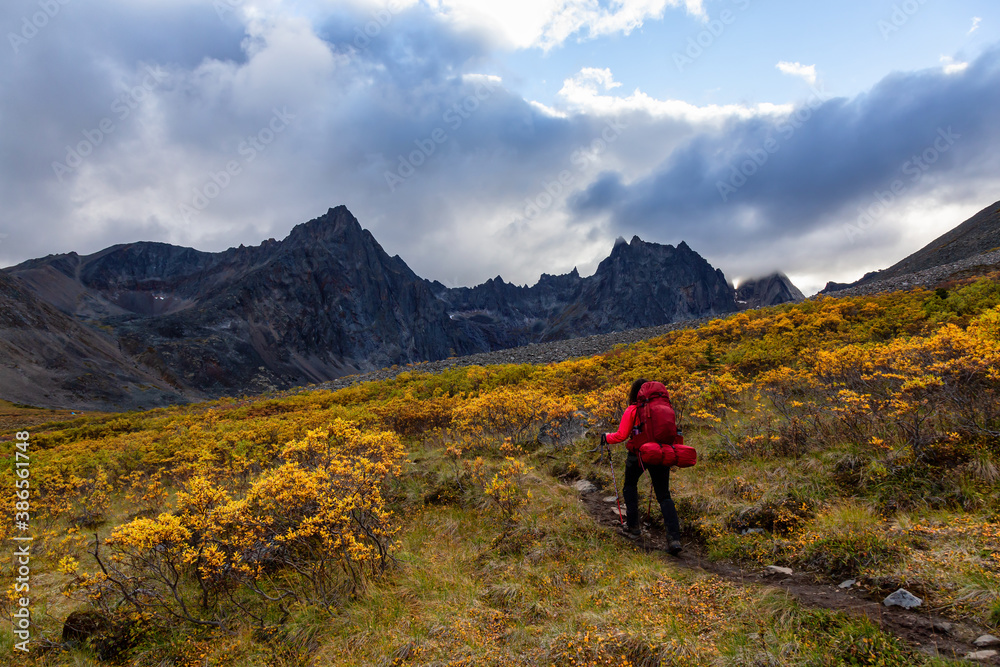 Girl Backpacking on Scenic Hiking Trail surrounded by Rugged Mountains during Fall in Canadian Nature. Taken in Tombstone Territorial Park, Yukon, Canada. Girl Backpacking on Scenic Hiking Trail surrounded by Rugged Mountains during Fall in Canadian Nature. Taken in Tombstone Territorial Park, Yukon, Canada.